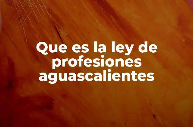 Que es la Ley de Profesiones Aguascalientes