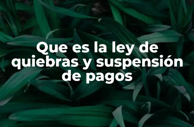 Que es la Ley de Quiebras y Suspensión de Pagos