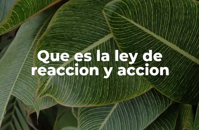 Que es la Ley de Reaccion y Accion