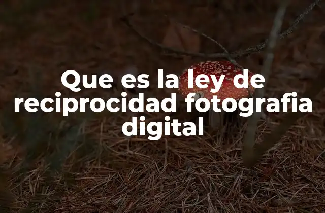 Que es la Ley de Reciprocidad Fotografia Digital