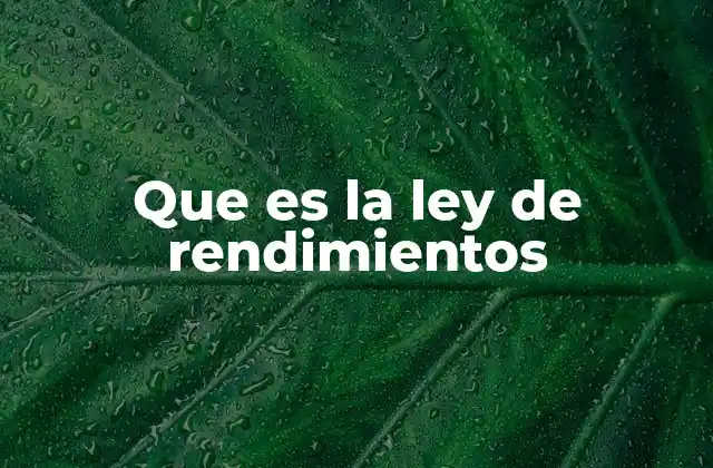 Que es la Ley de Rendimientos