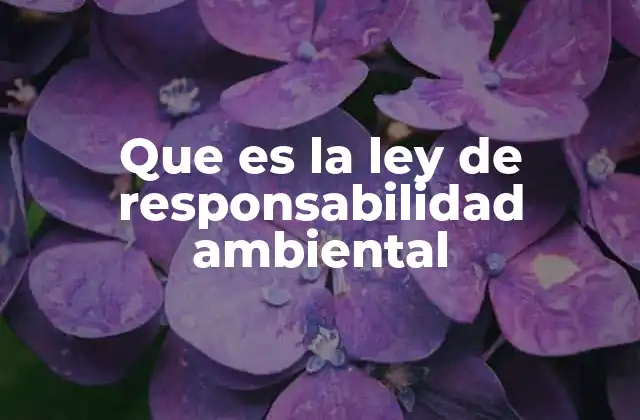 Que es la Ley de Responsabilidad Ambiental