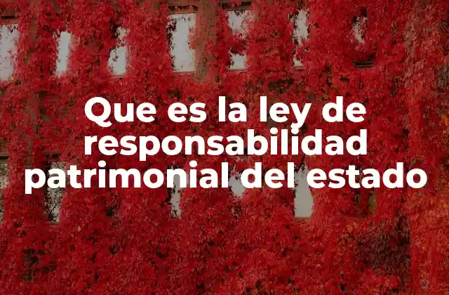 Que es la Ley de Responsabilidad Patrimonial Del Estado