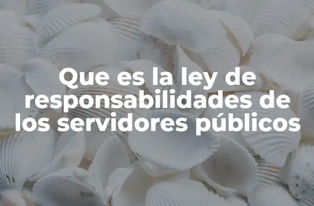 Que es la Ley de Responsabilidades de los Servidores Públicos