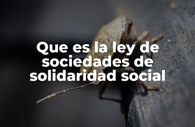 Que es la Ley de Sociedades de Solidaridad Social