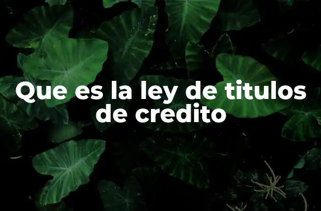Que es la Ley de Titulos de Credito