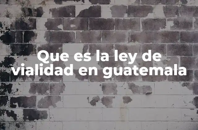 Que es la Ley de Vialidad en Guatemala