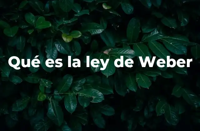 Qué es la Ley de Weber