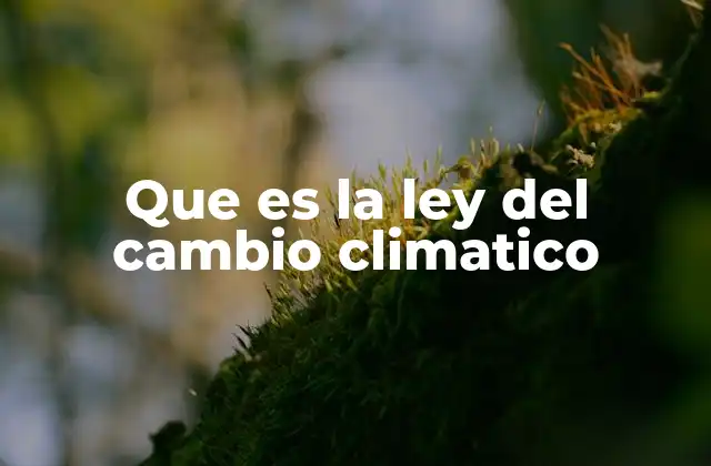 El papel de las leyes en la lucha contra el cambio climático