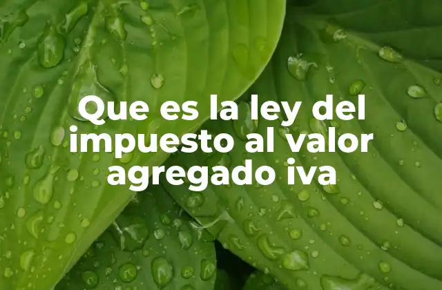 Que es la Ley Del Impuesto Al Valor Agregado Iva