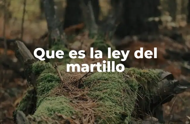 Que es la Ley Del Martillo