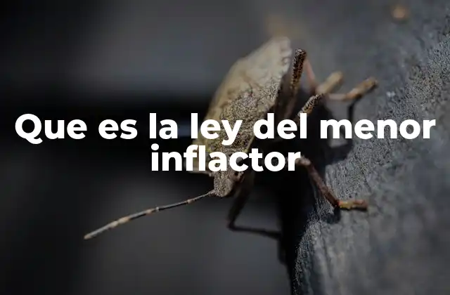 Que es la Ley Del Menor Inflactor