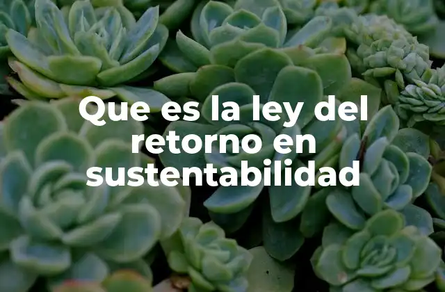 Que es la Ley Del Retorno en Sustentabilidad
