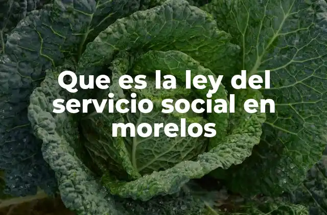 Que es la Ley Del Servicio Social en Morelos