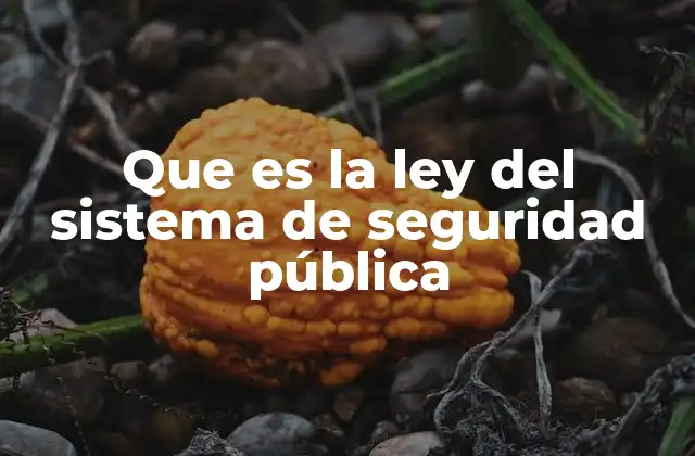 Que es la Ley Del Sistema de Seguridad Pública