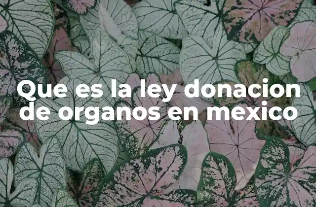 Que es la Ley Donacion de Organos en Mexico