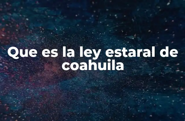 Que es la Ley Estaral de Coahuila