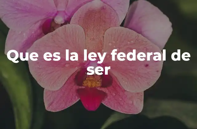 Que es la Ley Federal de Ser