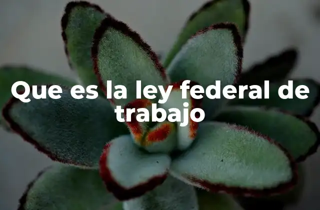 Que es la Ley Federal de Trabajo