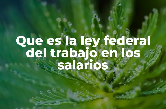 Que es la Ley Federal Del Trabajo en los Salarios
