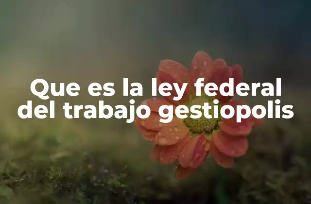 Que es la Ley Federal Del Trabajo Gestiopolis