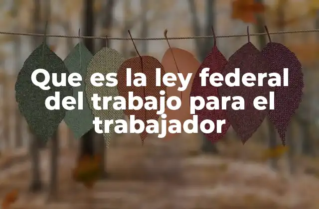 Que es la Ley Federal Del Trabajo para el Trabajador
