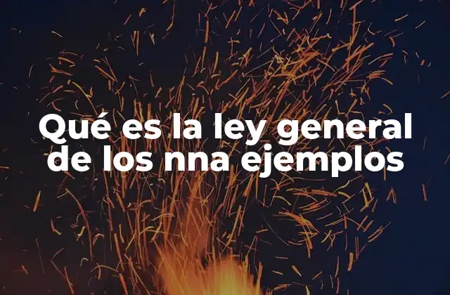 Qué es la Ley General de los Nna Ejemplos