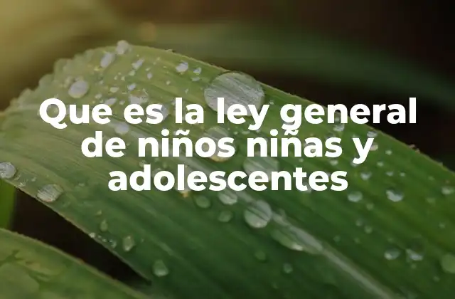 Que es la Ley General de Niños Niñas y Adolescentes