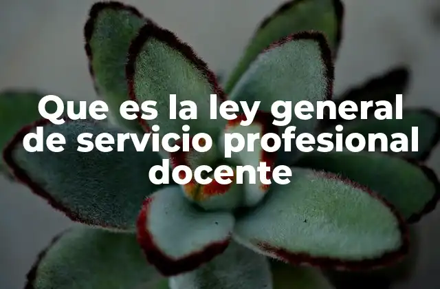 Que es la Ley General de Servicio Profesional Docente