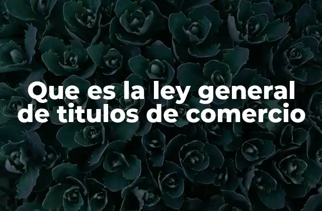 Que es la Ley General de Titulos de Comercio