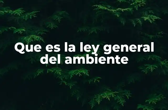 Que es la Ley General Del Ambiente