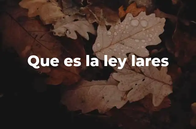 Que es la Ley Lares