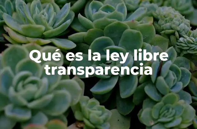 La importancia de la transparencia en la gestión pública