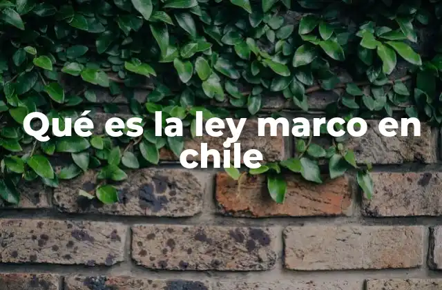 Qué es la Ley Marco en Chile