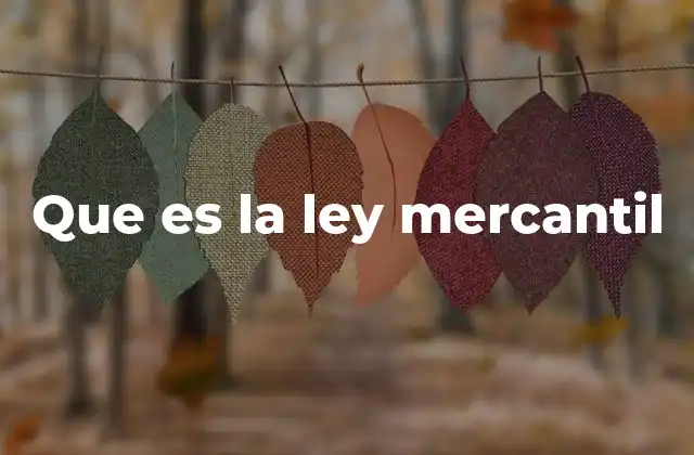 Que es la Ley Mercantil