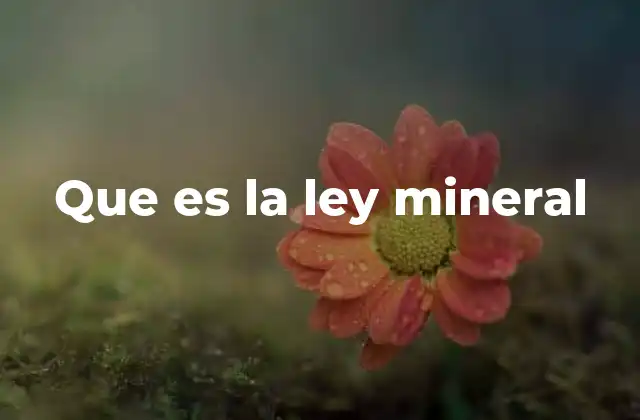 Que es la Ley Mineral