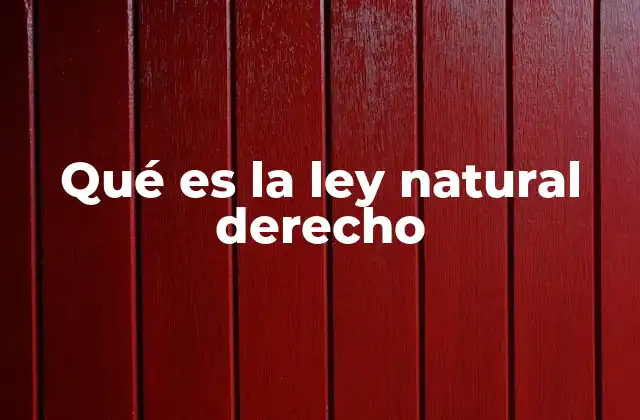 Qué es la Ley Natural Derecho