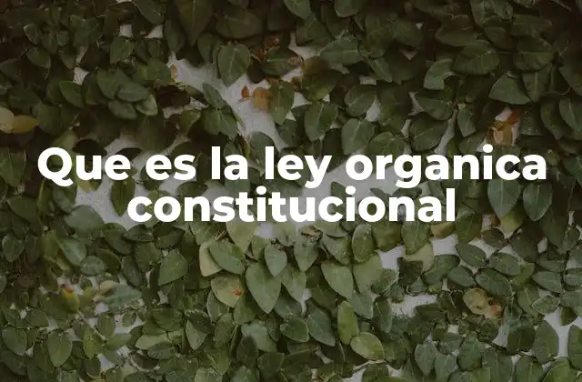 Que es la Ley Organica Constitucional 2 Características de las leyes orgánicas constitucionales