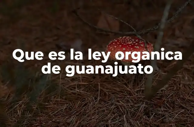 Que es la Ley Organica de Guanajuato