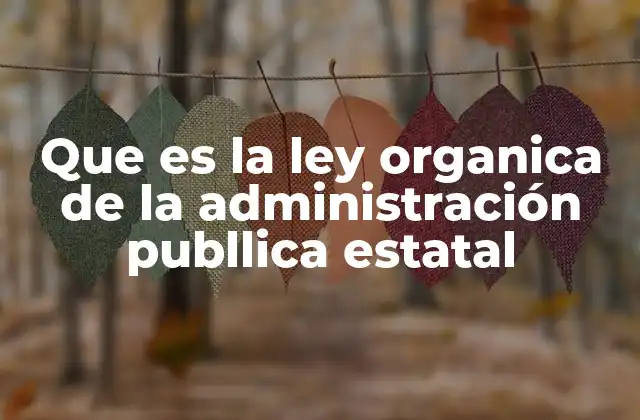 Que es la Ley Organica de la Administración Publlica Estatal