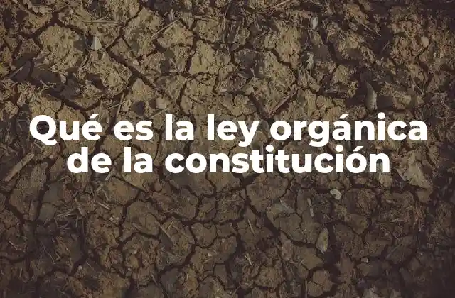 La importancia de las leyes orgánicas en el sistema constitucional