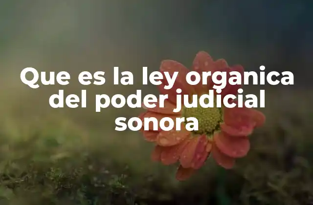 Que es la Ley Organica Del Poder Judicial Sonora