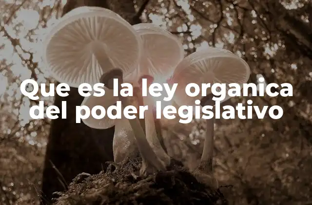 Estructura y organización del Poder Legislativo según la ley orgánica