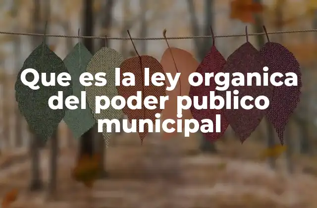 Que es la Ley Organica Del Poder Publico Municipal