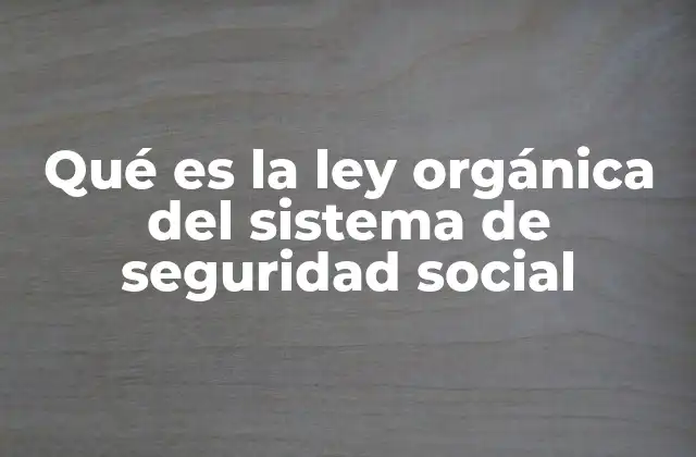 Qué es la Ley Orgánica Del Sistema de Seguridad Social