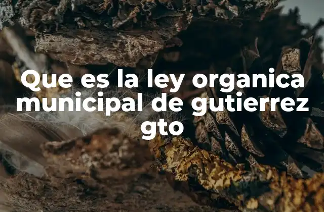 Que es la Ley Organica Municipal de Gutierrez Gto