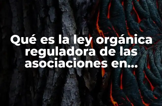 Qué es la Ley Orgánica Reguladora de las Asociaciones en México
