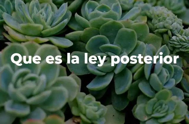 Que es la Ley Posterior