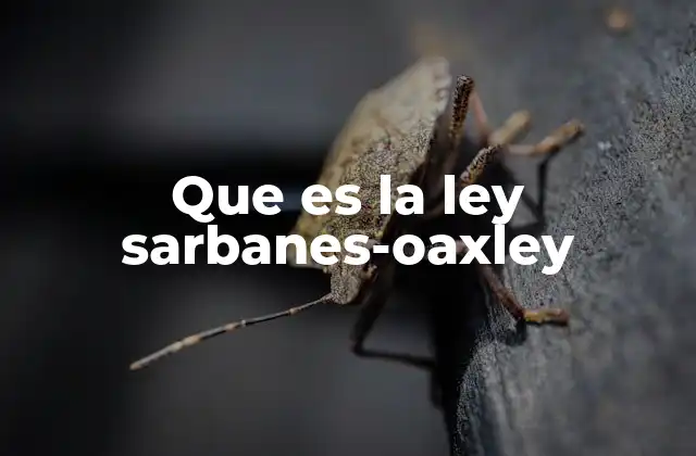 Que es la Ley Sarbanes-oaxley