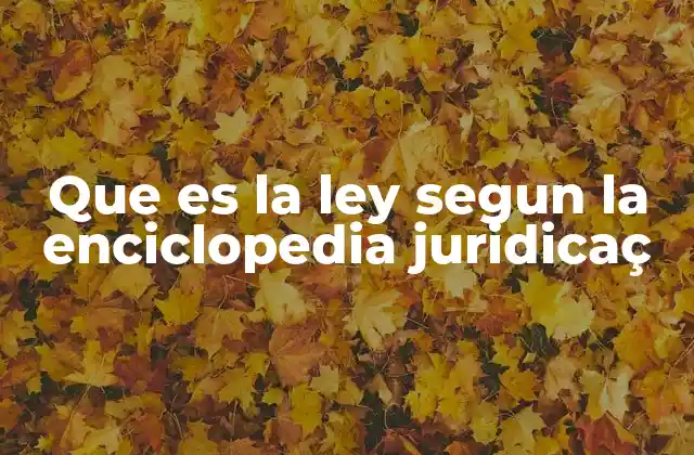 Que es la Ley Segun la Enciclopedia Juridicaç